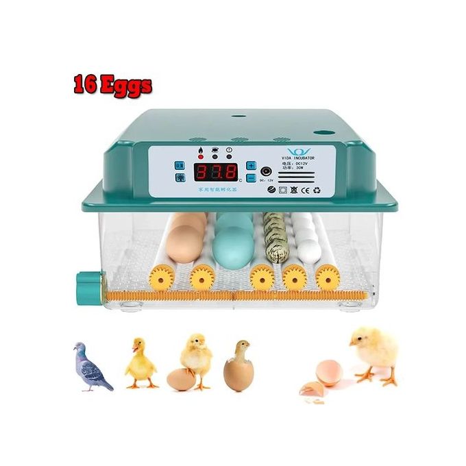 🐣 Intelligent Constant Temperature Egg Incubator – 16 Eggs